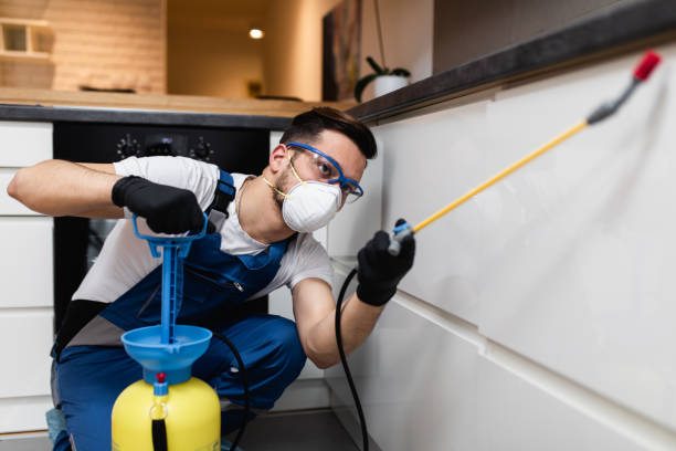 Best Best Pest Control Companies  in Waynesburg, OH