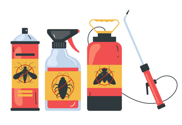 Wasp Removal Services in Waynesburg, OH